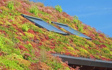 Ribbleton living roof systems