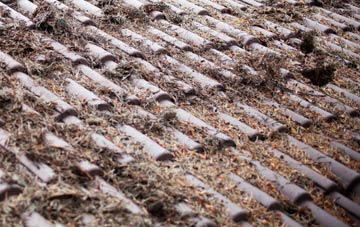 Ribbleton roof cleaning companies